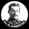 Albert AMBROSE